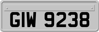 GIW9238