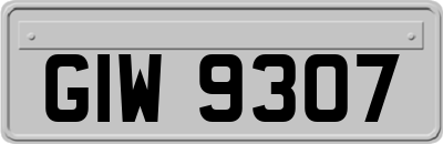 GIW9307