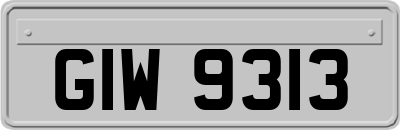 GIW9313