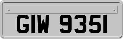 GIW9351