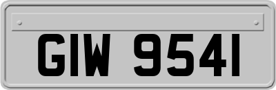 GIW9541
