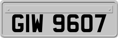 GIW9607