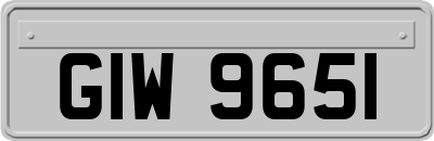 GIW9651