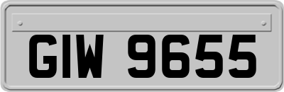 GIW9655