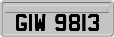 GIW9813