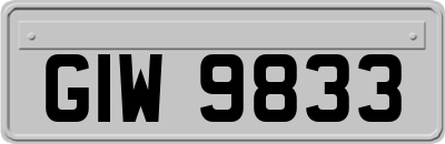 GIW9833