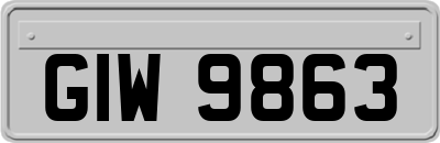 GIW9863