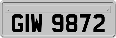 GIW9872