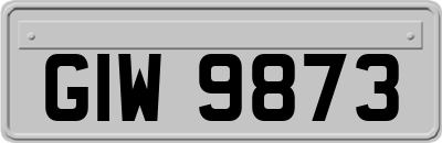 GIW9873
