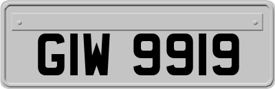 GIW9919
