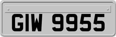 GIW9955