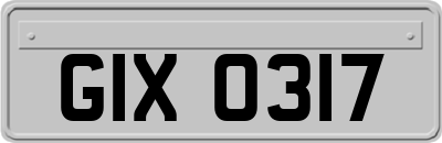 GIX0317