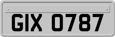 GIX0787