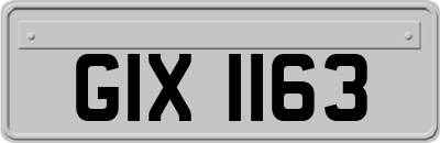 GIX1163