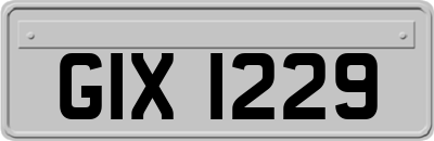 GIX1229