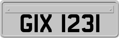 GIX1231