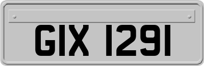 GIX1291