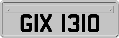 GIX1310