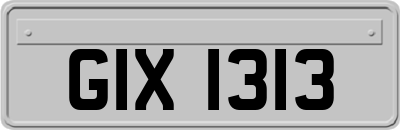 GIX1313