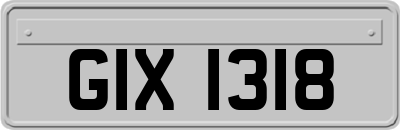 GIX1318