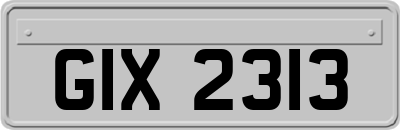 GIX2313