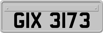 GIX3173