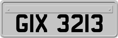 GIX3213