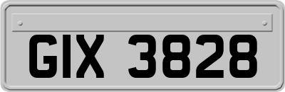 GIX3828