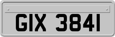 GIX3841