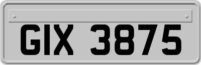 GIX3875