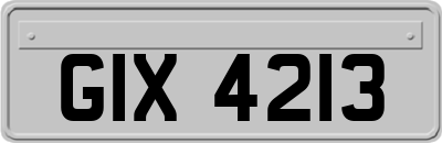GIX4213