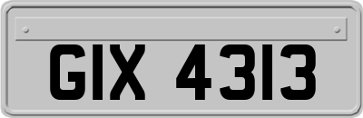 GIX4313