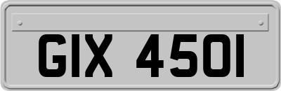 GIX4501