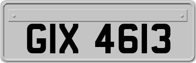 GIX4613