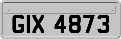 GIX4873