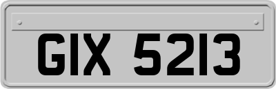 GIX5213