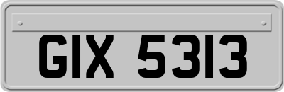 GIX5313