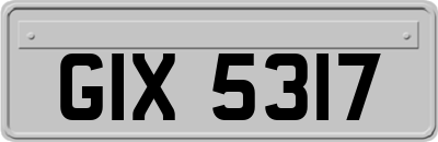 GIX5317
