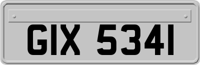 GIX5341