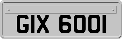 GIX6001