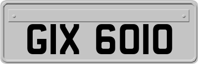 GIX6010