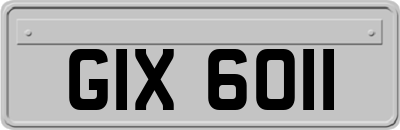 GIX6011