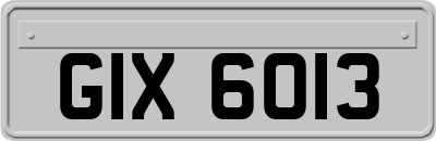 GIX6013