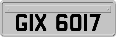 GIX6017