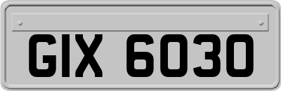 GIX6030