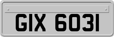 GIX6031