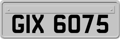 GIX6075