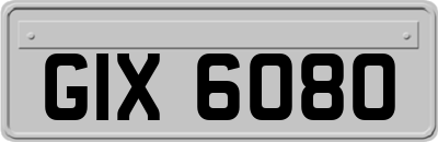 GIX6080