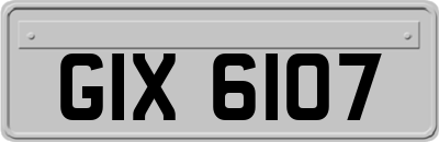 GIX6107