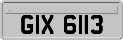 GIX6113